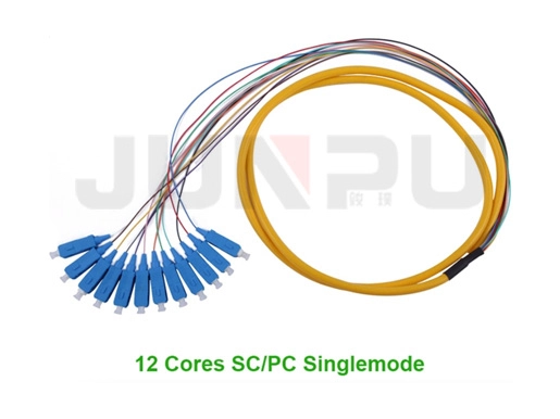 12 Cores Sc PC 900um Bundle Fan-out Fiber Optic Pigtail