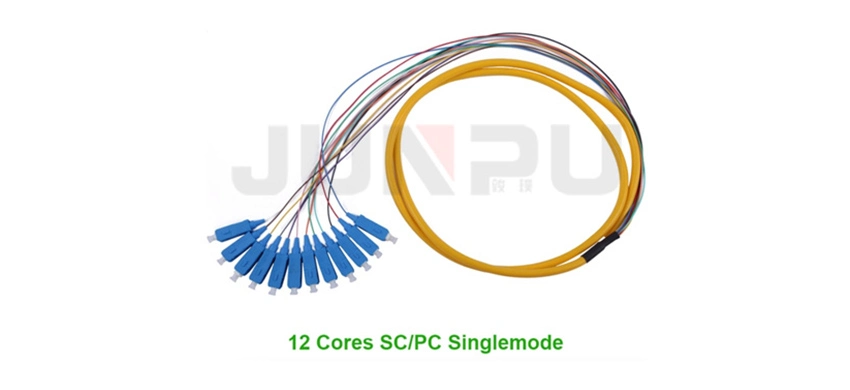 12 Cores Sc PC 900um Bundle Fan-out Fiber Optic Pigtail